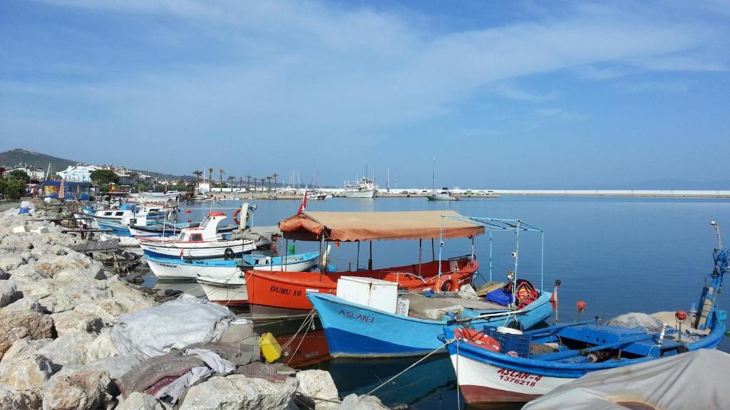 Cicek Aile Pansiyonu Ören Buitenkant foto